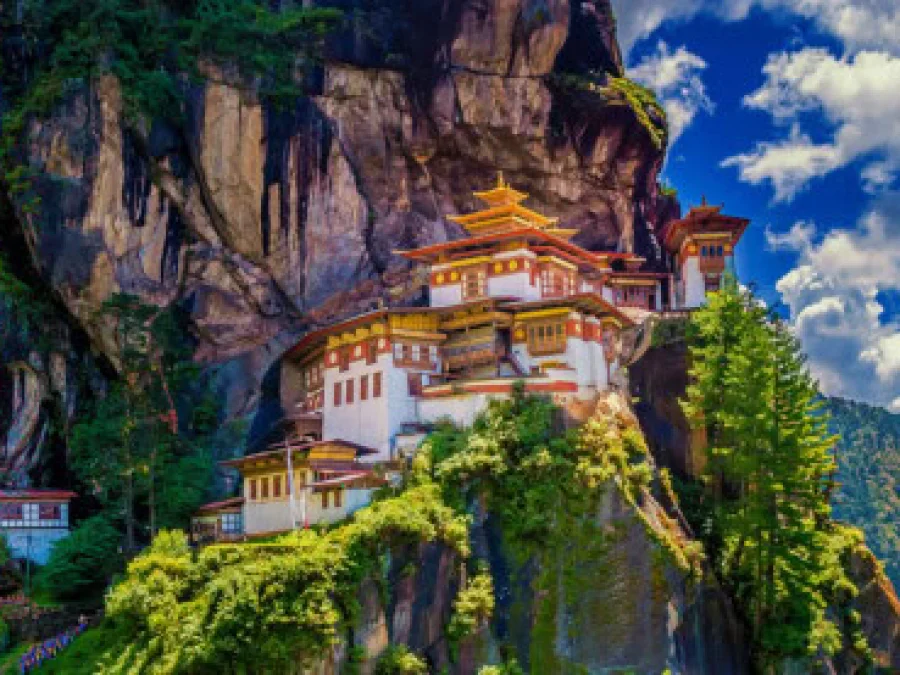 Essence of Punjab & Himalayan Trails