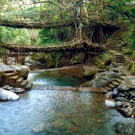 Himalayan Harmony Tour