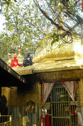 Nau-Devi Himachal Tour