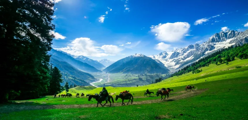 A Magical Tour to Jammu and Kashmir