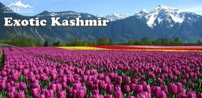 Exotic Kashmir Tour