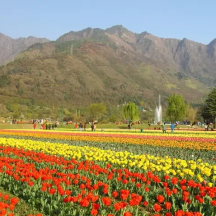 Essence of Kashmir with Gulmarg & Pahalgam