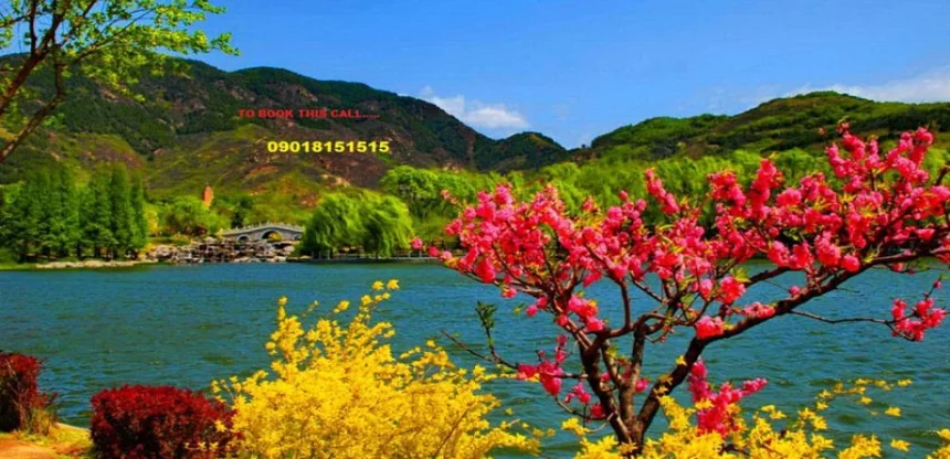 Essence of Kashmir with Gulmarg & Pahalgam