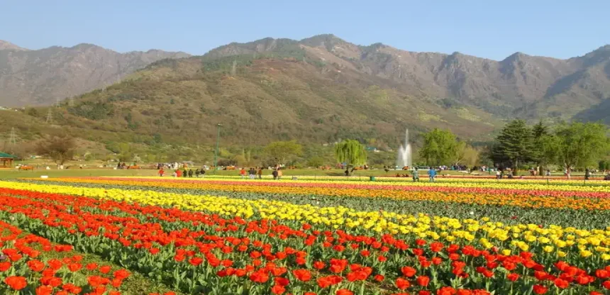 Essence of Kashmir with Gulmarg & Pahalgam