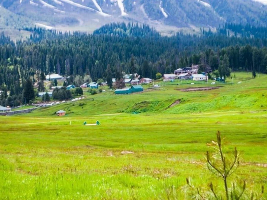 Srinagar Serenity Tour