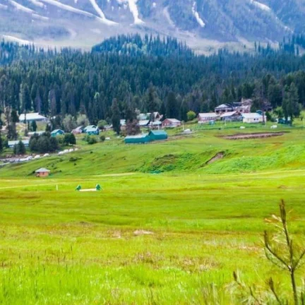 Srinagar Serenity Tour