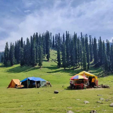 Scenic Treasures of Kashmir with Offbeat Villages